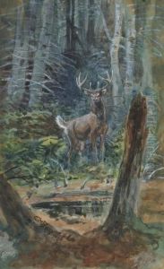 Deer In The Dell