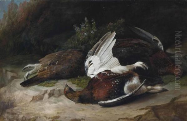 Grouse - view 1