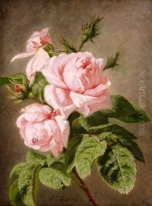 Etude De Roses by Simon Saint-Jean