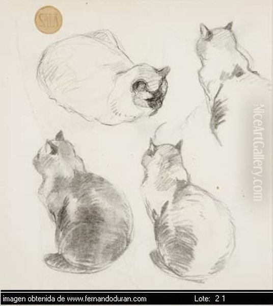 Untitled - view 1