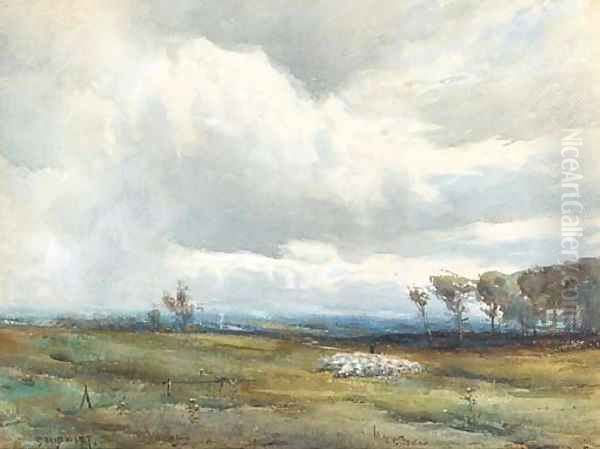 A shepherd tending his flock before an approaching storm - view 1