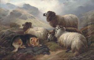 Guarding the flock