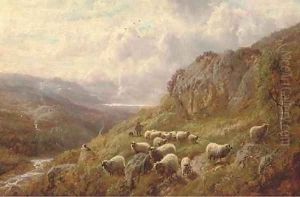 The wayward flock