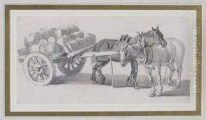 Study Of Dray Horses