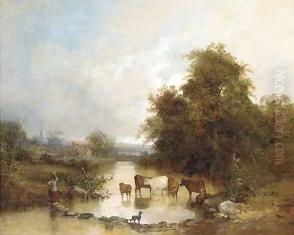 Cattle watering at the stepping stones - view 1