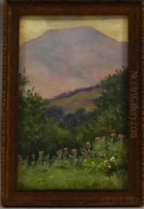 Mount Lafayette, Franconia, New Hampshire by Daniel Francois Santry