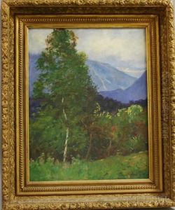 Summer Landscape With Franconia Notch In The Distance