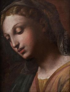 Profilo Della Vergine