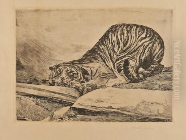 Tigre In Agguato - view 1