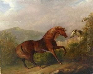 A Chestnut And A Grey Horse Divided By Fence by John Nost Sartorius