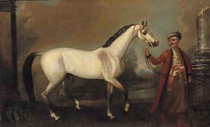 The bloody-shouldered Arabian held by a groom