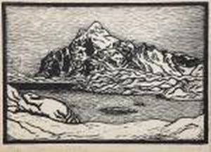 Vagekallen, Lofoten by John Savio