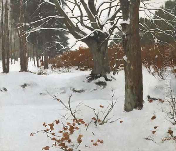 Bos in de sneeuw - view 1