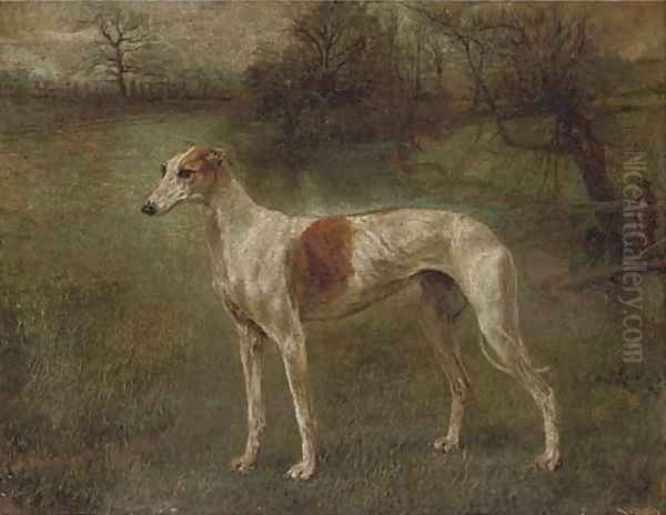 A prize greyhound in a landscape - view 1