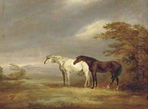 A chestnut and grey in a windy landscape