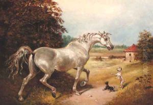 A grey with two dogs in a wooded landscape