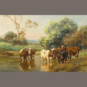 Cows Watering In A Stream