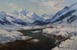 Snowy River Scene Snowy River Scene
