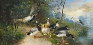 Federvieh Tummelt Sich An Einem Weiher by Julius Scheurer