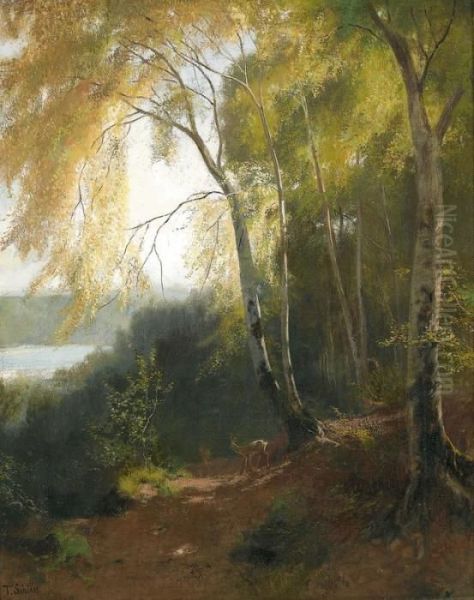 Sonnenbeschienene Waldlandschaft Mit Reh - view 1