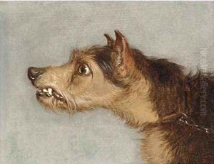 The head of terrier; and The head of lurcher by Martin Theodore Ward