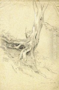 Study Of A Tree Study Of A Tree