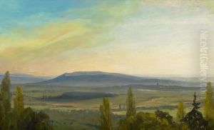 Expansive Landscape