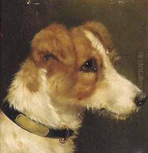 The head of a terrier