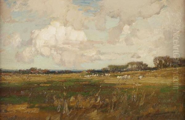 Sheep Grazing In A Meadow - view 1