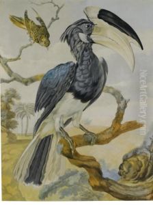 A Hornbill And Another Bird On A Branch