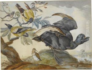 A Duck And Four Other Birds, Three On A Branch by Aert Schouman