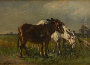 Deux Anes A La Barriere