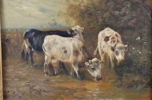 Vaches