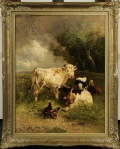 Vaches Et Poules