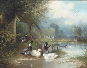 The Duck Pond