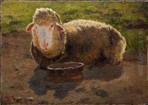 Ruhendes Schaf by Anton Schrodl