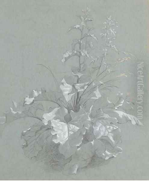 Study of wild flowers - view 1
