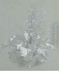 Study of wild flowers by Jan The Younger Weenix