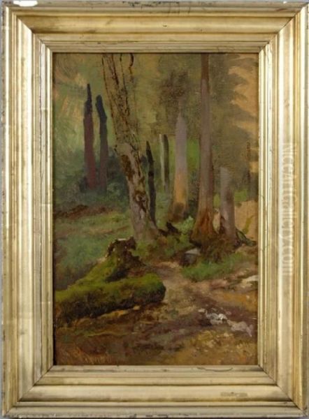 Waldstudie - view 1