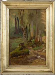 Waldstudie Waldstudie