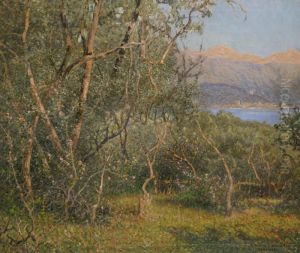 Tradgard Vid Kusten, Cadenabbia
