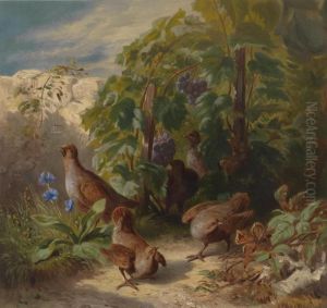 Grey Partridges