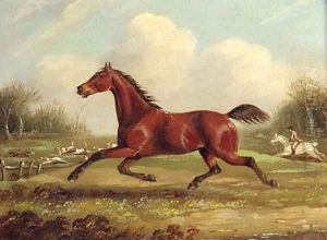 A bay Hunter running with Hounds by Charles Dean Wolstenholme