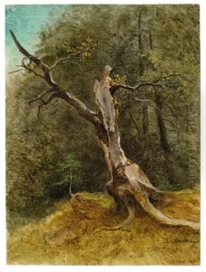 Baumstudie by Josef Schwemminger