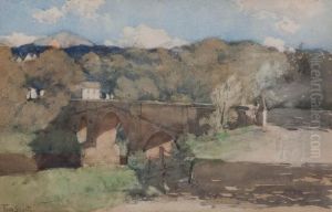 Bridge In Sunshine