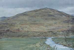 A Border Burn by Tom Scott