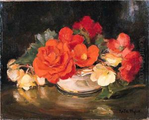 Red and White Begonias by Kate Wylie