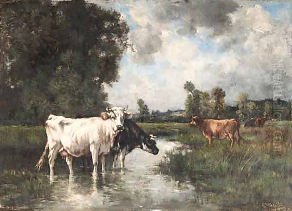 Cows watering - view 1