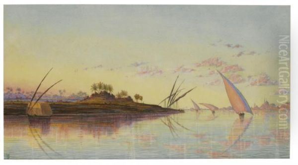 View On The Nile Near Cairo, Egypt - view 1