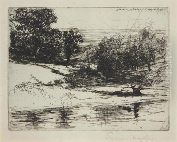 Newcastle In Emlyn - view 1